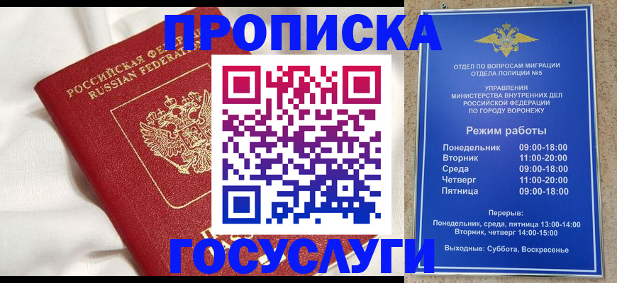прописка в квартире в Фрязино